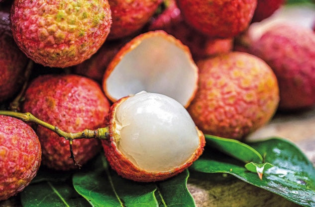 DRAGON MAMA'S KITCHEN | Taiwan Lychee Group Buy
